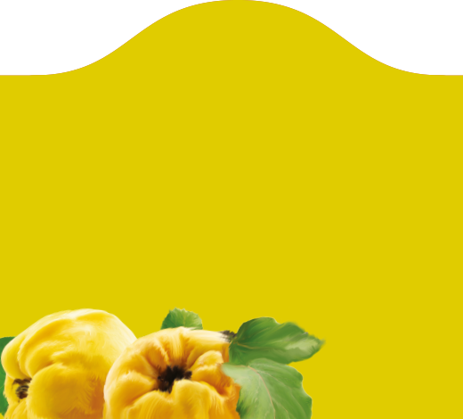 Arsenitch