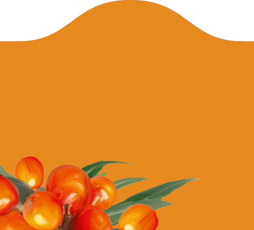 Arsenitch
